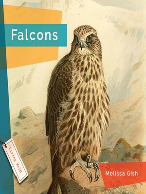 cover image of Falcons